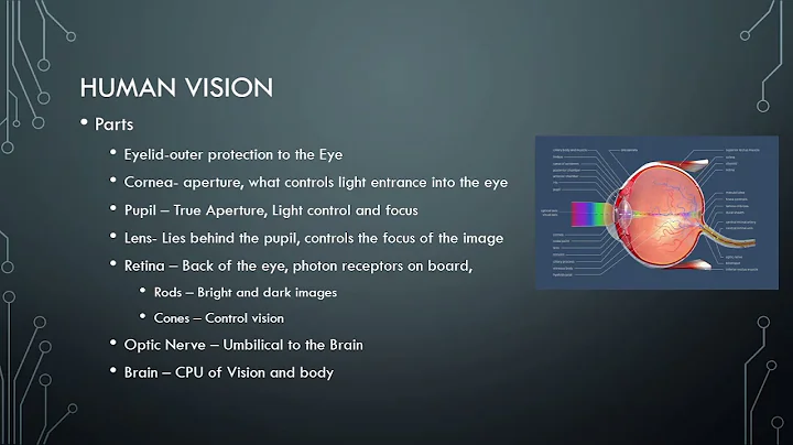 Introduction to Machine Vision
