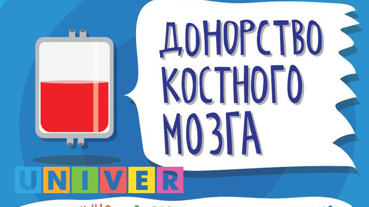 студенческий билет Как стать донором костного мозга