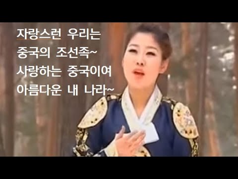 제459편 <strong>조선족은</strong> <strong>한국인인가</strong>? 조양건, 8.15 태극기집회 할 말 있다!