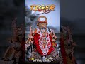 જય મેલડી