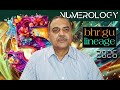 Bhrigu Lineage Numerology Predication for 2026 for Number 5