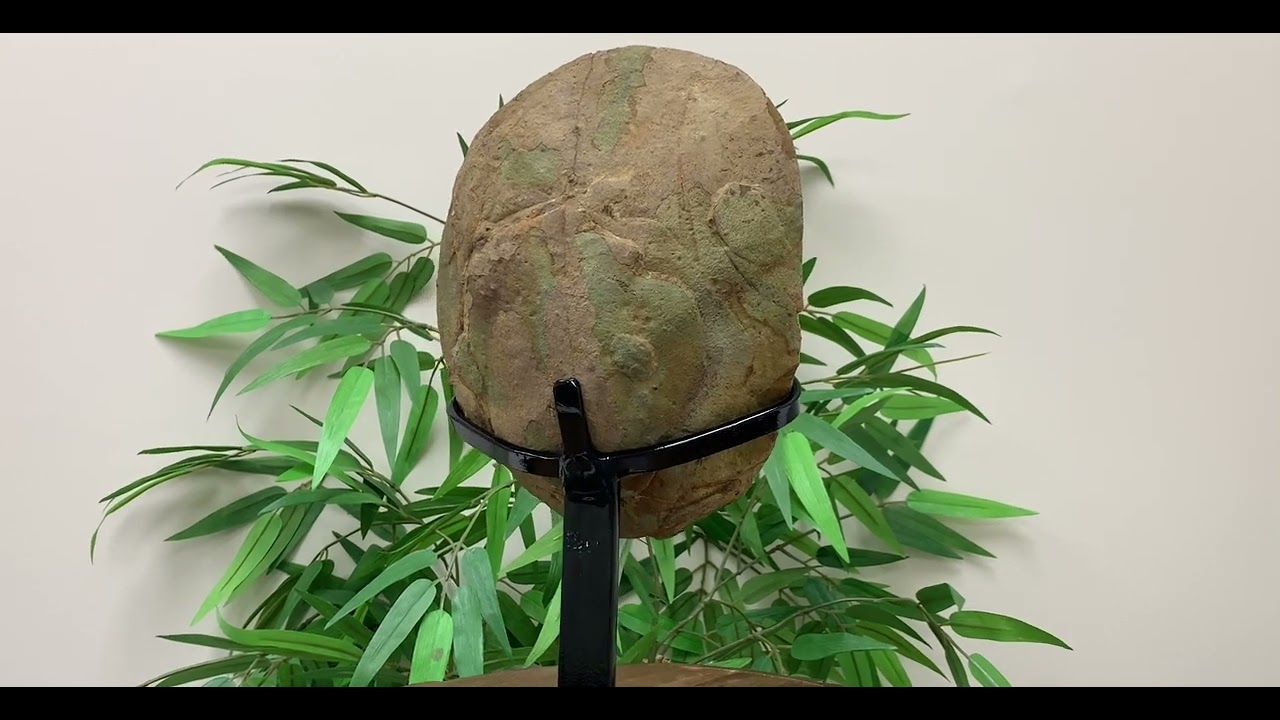 12.5 X 7 inch Deep Purple Amethyst Crystal Geode on Stand 5.9 Lb