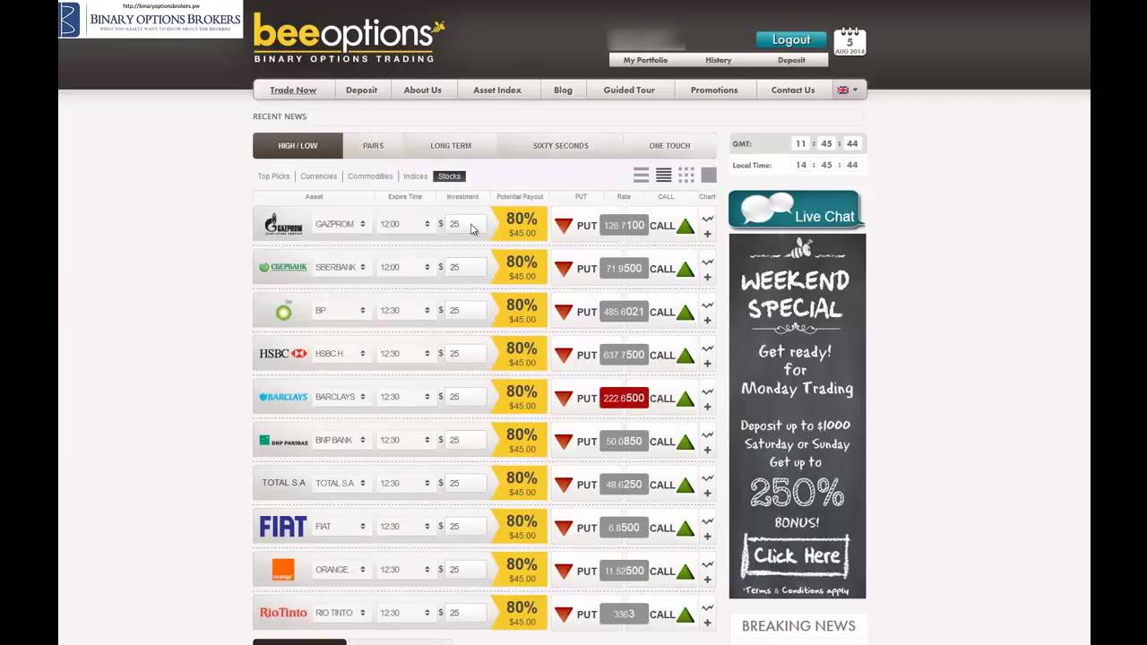 Beeoptions Review