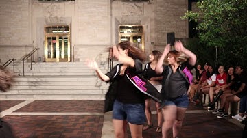 Sigma Lambda Gamma Northwestern Yardshow 2017