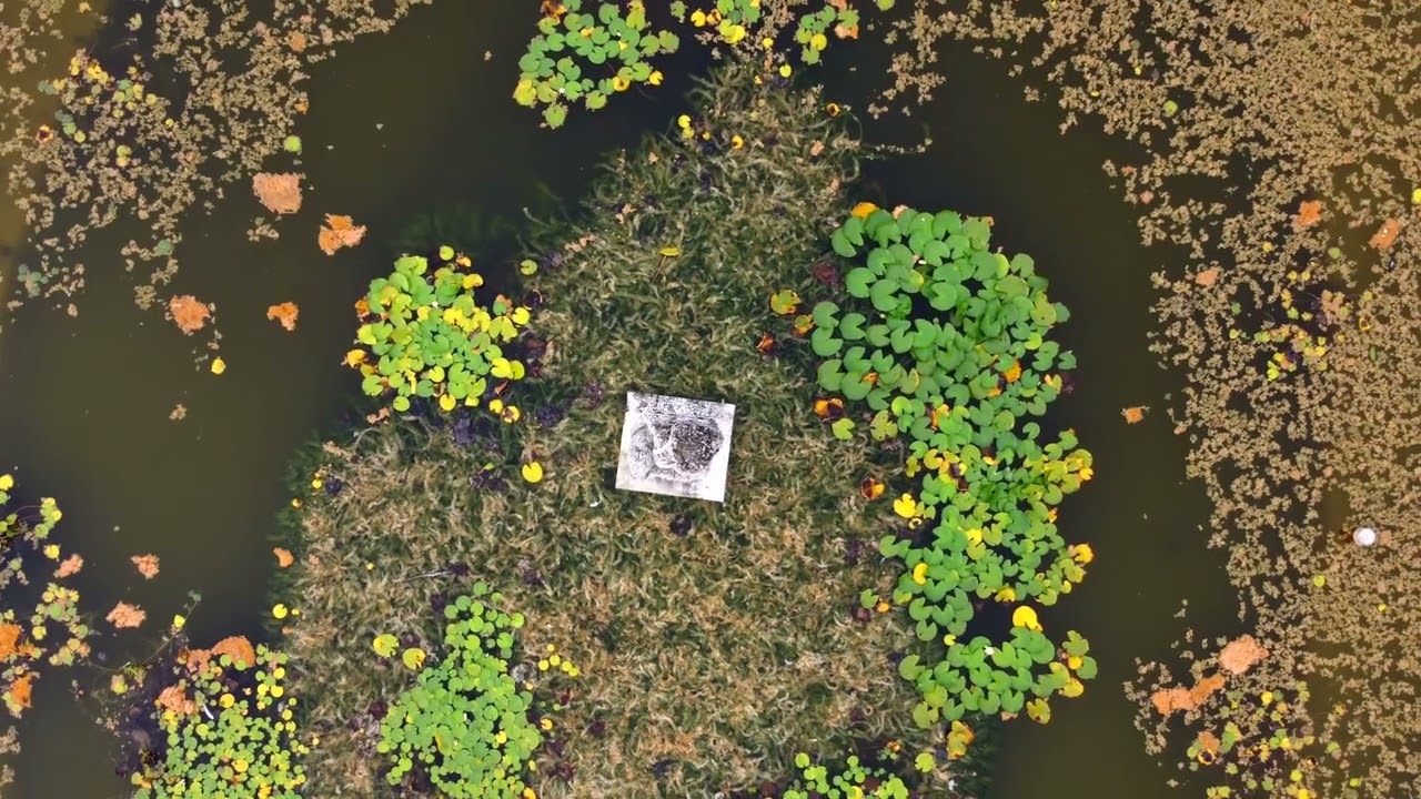 Villa Farsetti - Santa Maria di sala (Drone)
