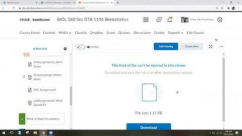 Getting Started with RStudio Cloud