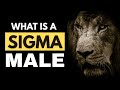 What Is A Sigma Male Everything You Need To Know Before 2026 What Is A Sigma Male Everything You Need To Know Before 2026