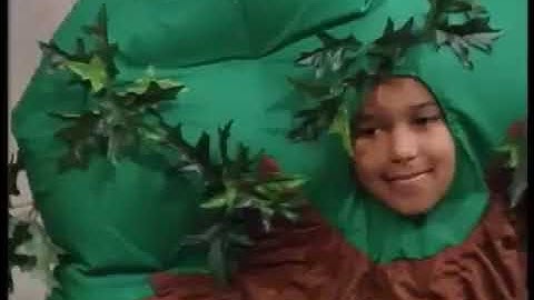 Tree-Mendous Trees (2007 Version) Part 4