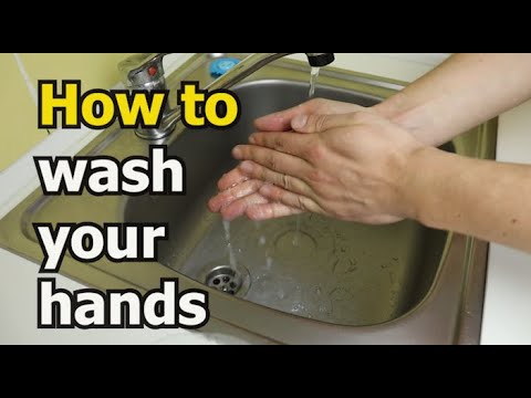 How to wash your hands | how to properly wash your hands |  Handwashing