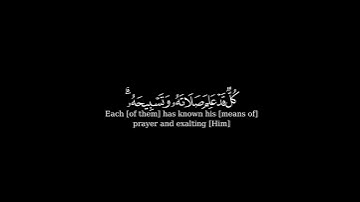 كرومة شاشة سوداء بصوت #بندر_بليلة#سورة_النور