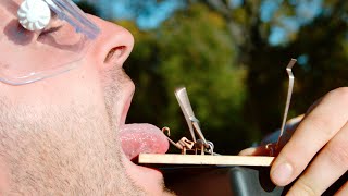 Tongue in a Mouse Trap - The Slow Mo Guys