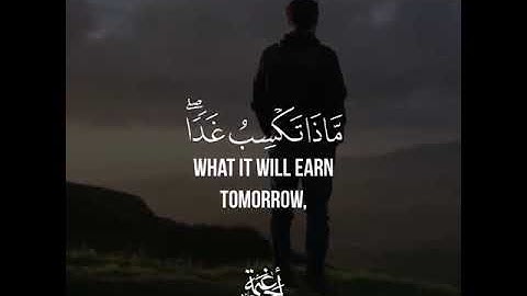 القارئ صالح الأنصاري