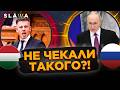 Мадяр вже прийняв перше рішення! ФІЦО вляпався, а Путін ПРИГРОЗИВ Пашиняну після саміту ЄС!