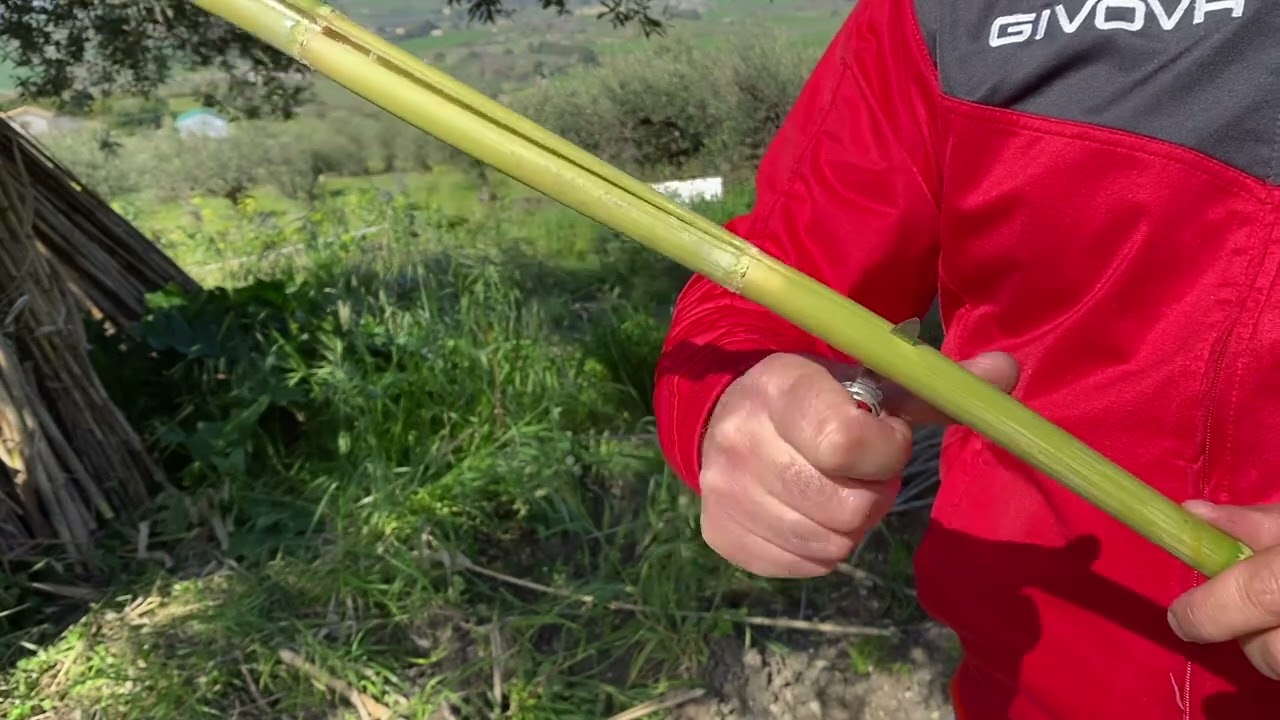 Taglio della canna per la realizzazione di un paniere