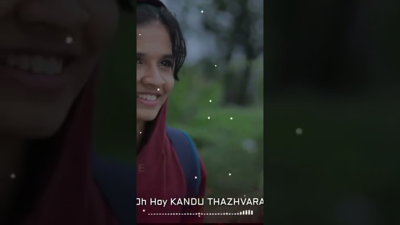 Maanikya Chirakullan | Idukki Gold | Malayalam song 