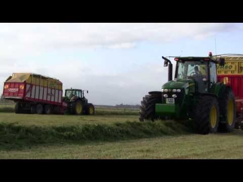 Silage Mean and Green