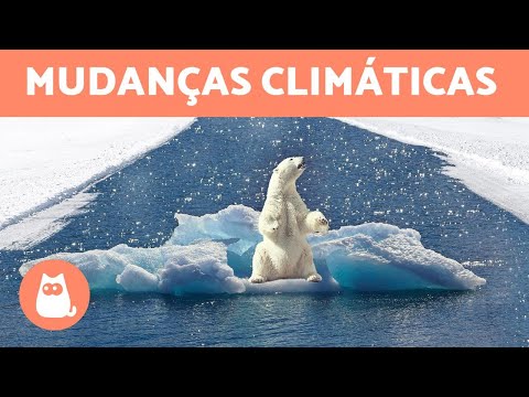 Vídeo: Como Um Gato Reage à Mudança Do Clima