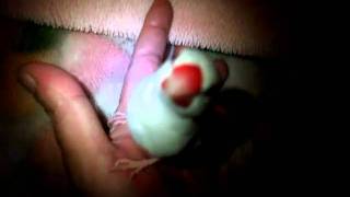 DSCF6180.AVI