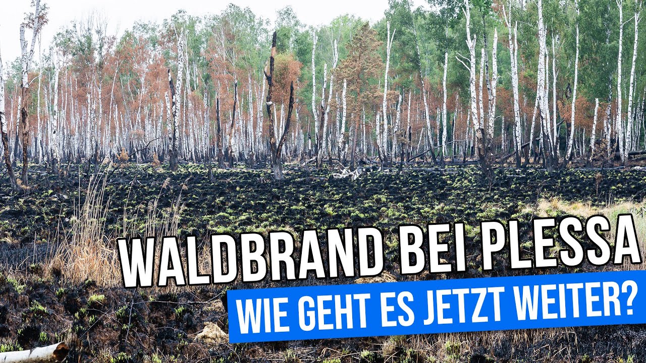 Die Lage beim Waldbrand in Hohenleipisch/Plessa