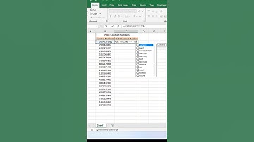 How to Hide Data in Excel | Excel Data Hide Trick | Secret Excel Tips 2025