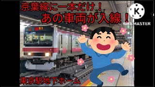 京葉線で人気のあの編成が入線しました。【JR京葉線東京駅】