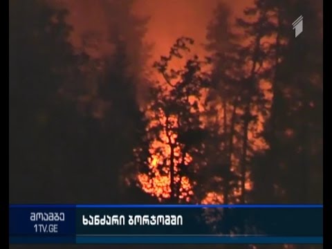 სოფელ დვირის წიწვოვან ტყეში ხანძრის  გაჩენის მიზეზი უცნობია