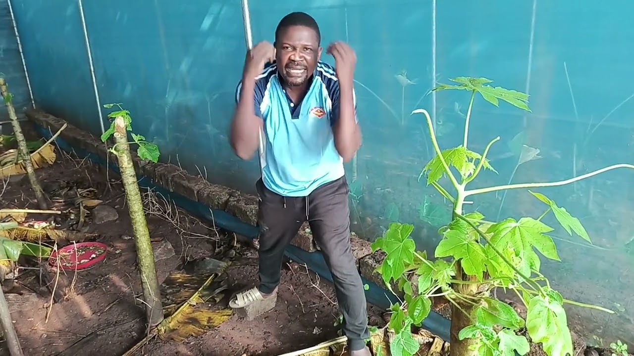 Comment vous devez traiter les escargots dans les parcs pour avoir un bon Résultat ?