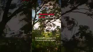посилання на тгк:    https://t.me/Klever_laif #новамузика #music #remix