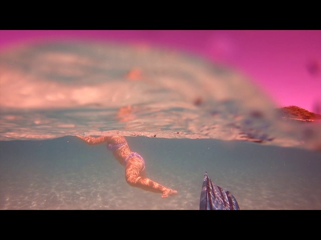 TRES TRAPIES DIVING IN ARUBA