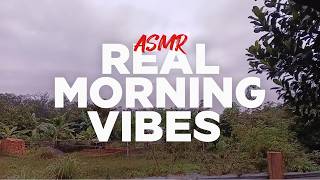 Real: Morning Nature ASMR 🍃 | Soothing Sounds of Nature, including birdsong and roosters crowing