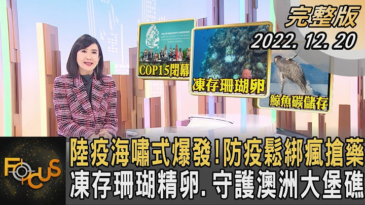 陆疫海啸式爆发!防疫松绑疯抢药 冻存珊瑚精卵.守护澳洲大堡礁｜方念华｜FOCUS全球新闻 20221220@TVBSNEWS01 - 天天要闻