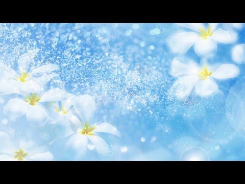 Video [Lyrics/ Pinyin/ Vietsub] Phi Điểu Và Ve Sầu (飞鸟和蝉) -... - youtube