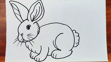 Easy Rabbit Drawing Tutorial | Simple Bunny Drawing Step by Step for Beginners