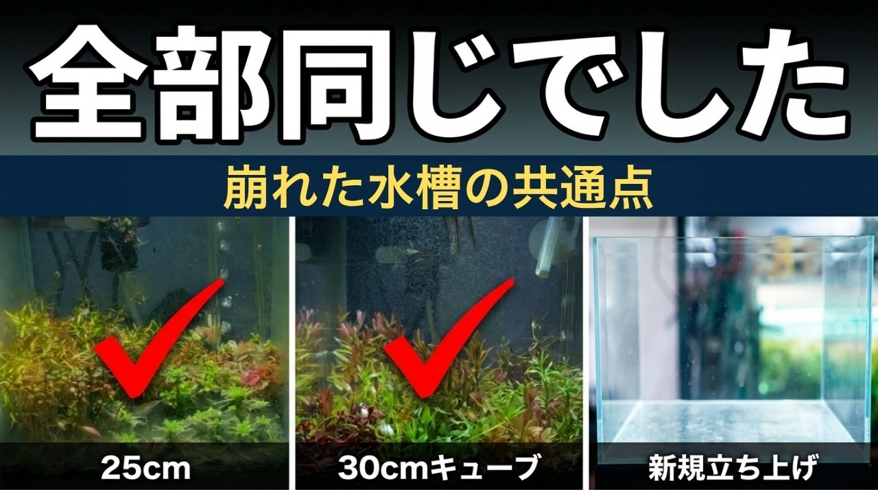 Aquarium - YouTube