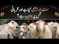 What Is Sunnat E Ibrahimi And On Whom Is The Sacrifice Obligatory Ahkam E Qurbani Aaj News What Is Sunnat E Ibrahimi And On Whom Is The Sacrifice Obligatory Ahkam E Qurbani Aaj News