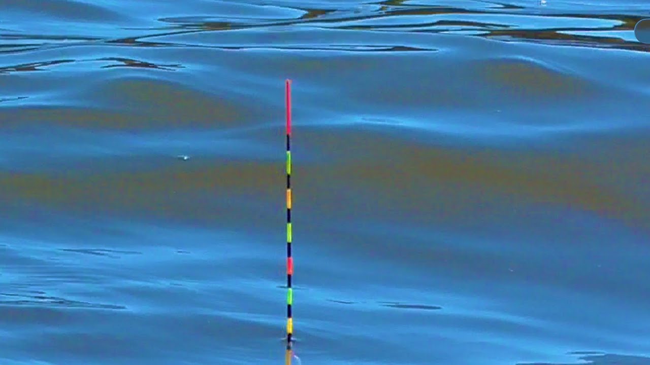 野田幸手園　千葉県野田市