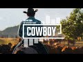 Country acoustic folk by infraction no copyright music  cowboy