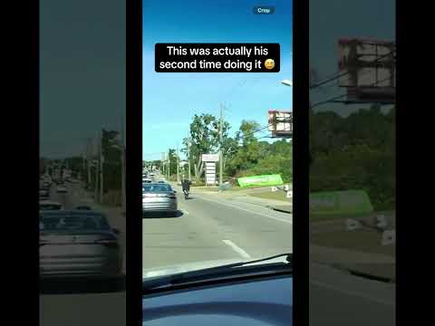 still thinking about that wheelie #pensacola #floridaman #florida #motorcycle