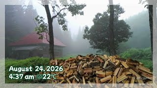 朝の森 8.24.2026│新潟 標高270m│4:36～7:00予定