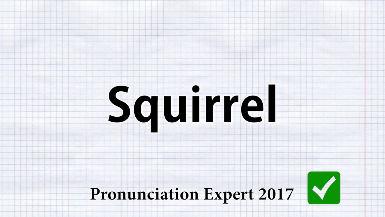 How to Pronounce Squirrel YouTube