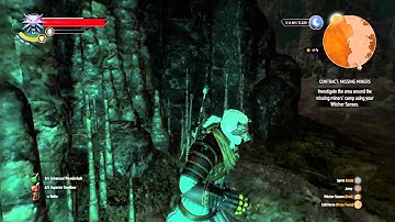 The Witcher 3: Wild Hunt contract missing miners