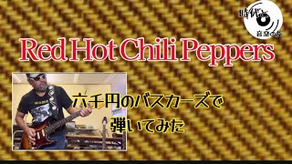 No.31 Red Hot Chili Peppers ／BUSKERS／レッチリ弾いてみた／安
