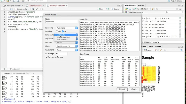 Make a Heatmap on R Studio