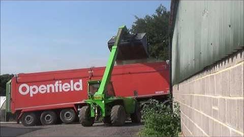 Loading the Grain Lorry with Merlo