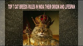TOP 7 CAT BREEDS RULES IN INDIA THEIR ORIGIN AND LIFE SPAN by COMEDY TRACK 127 views 5 years ago 1 minute, 55 seconds