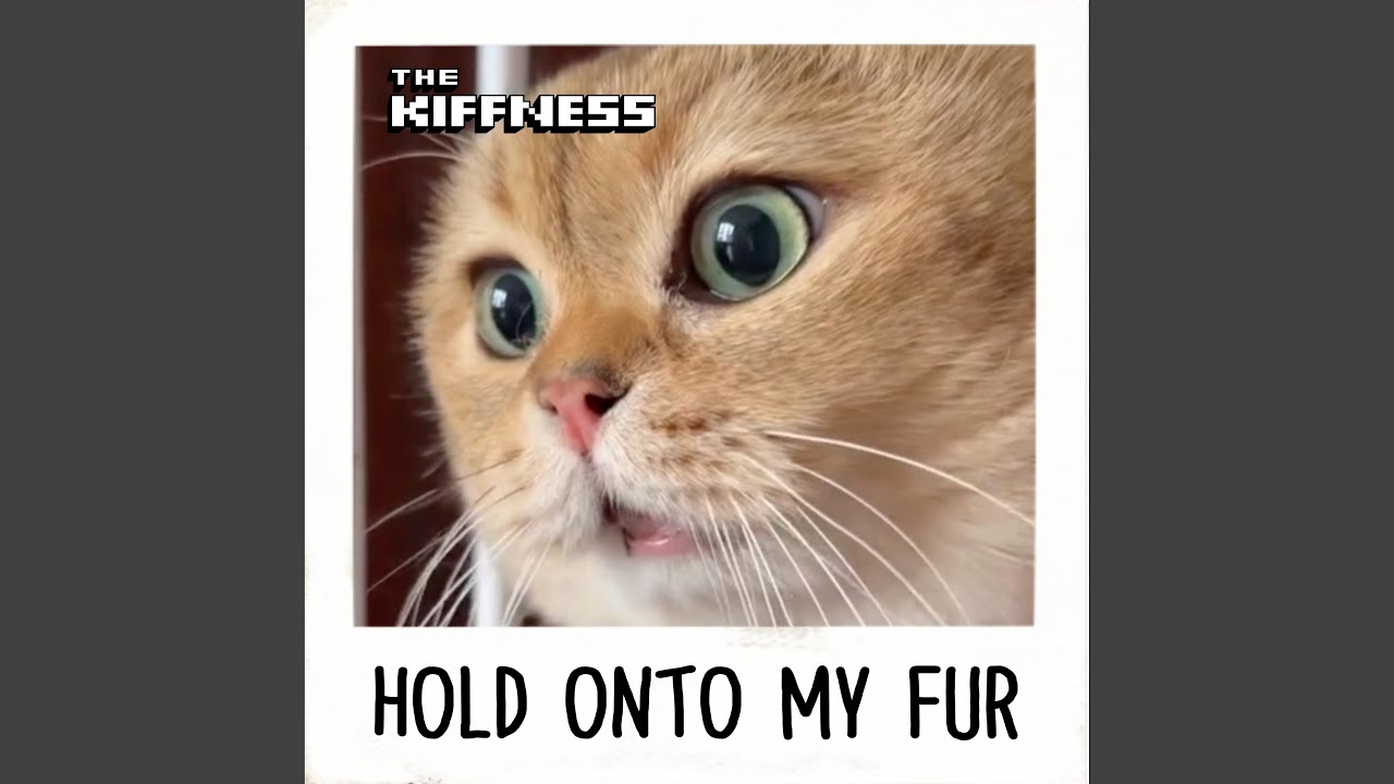 The Kiffness x Oh Long Johnson 2.0 - Hold Onto My Fur (Talking Cat Song), song, Cats and the Internet