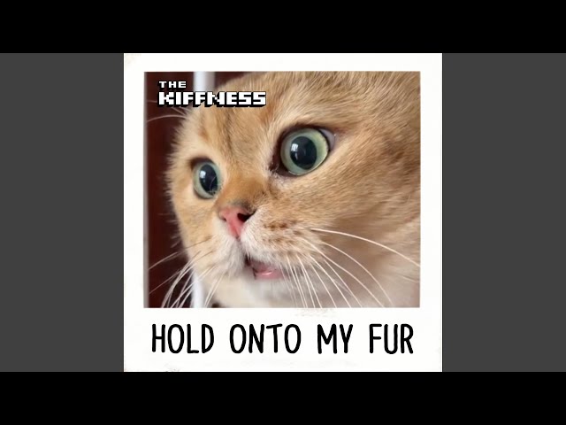 The Kiffness x Oh Long Johnson 2.0 - Hold Onto My Fur (Talking Cat Song), song, Cats and the Internet