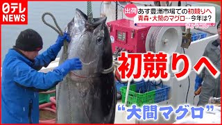 【今年の値段は？】青森の大間マグロ  あす豊洲で初競り