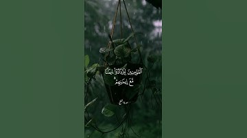 أنزل السكينة في قلوب المؤمنين تلاوة القارئ هزاع البلوشي#quran
