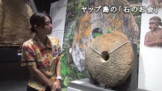 ヤップ島の「石の??」 ヤップ島 検索動画19 ヤップ島の「石の??」 ヤップ島 検索動画 19